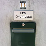 Les Orchidees *