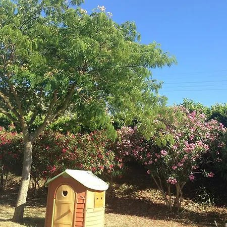 Privatunterkunft Les Orchidees Carcassonne