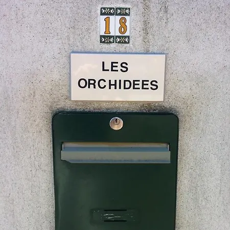 Les Orchidees *