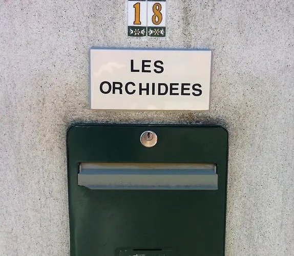 Les Orchidees *