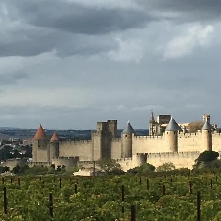 Les Orchidees Carcassonne